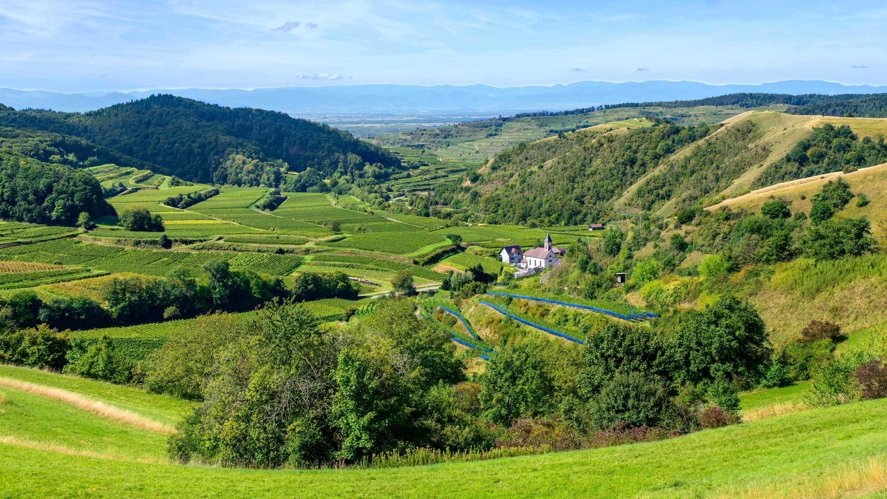 Blick über das Kaiserstuhl-Gebirge