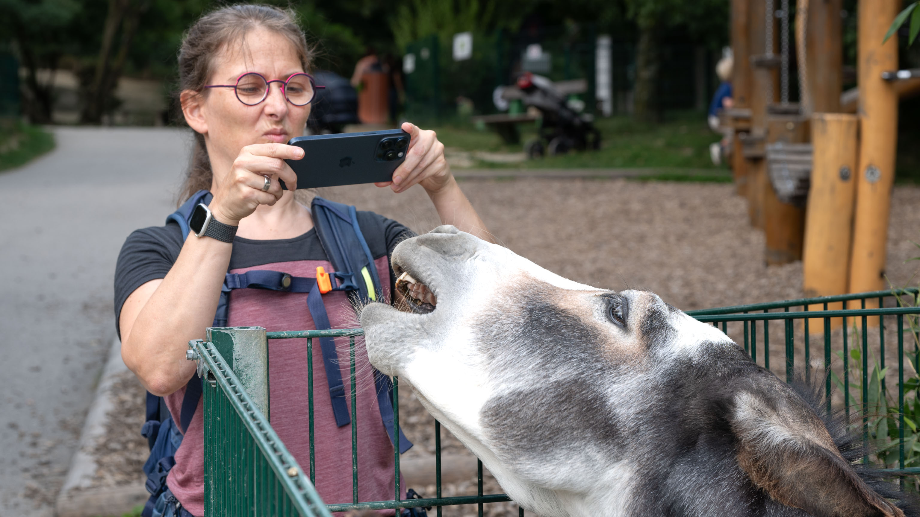 Maria fotografiert im Linzer Zoo einen Esel, der sich mit geöffnetem Maul zu ihr hinstreckt