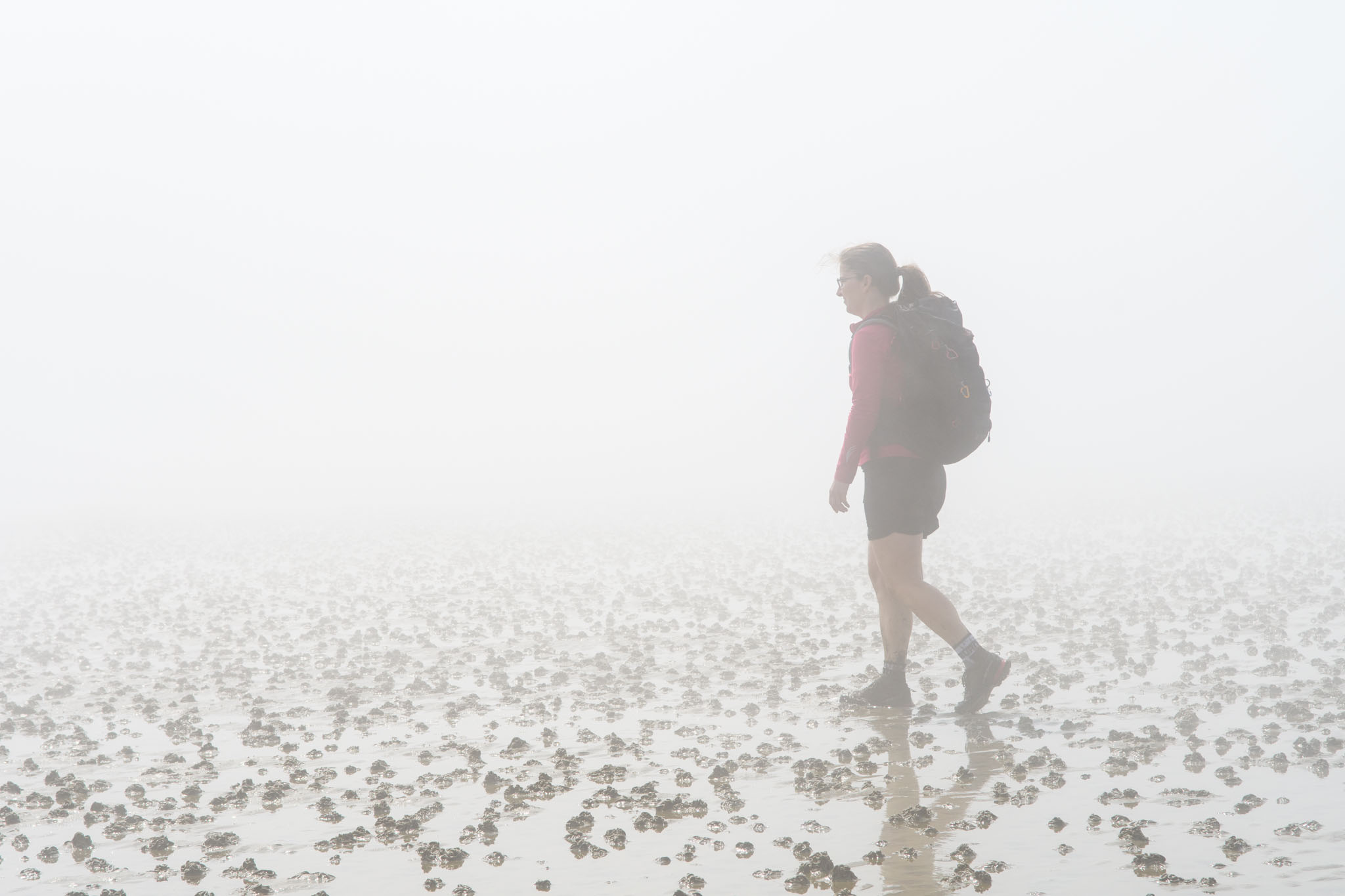 Wattwanderung im Nebel