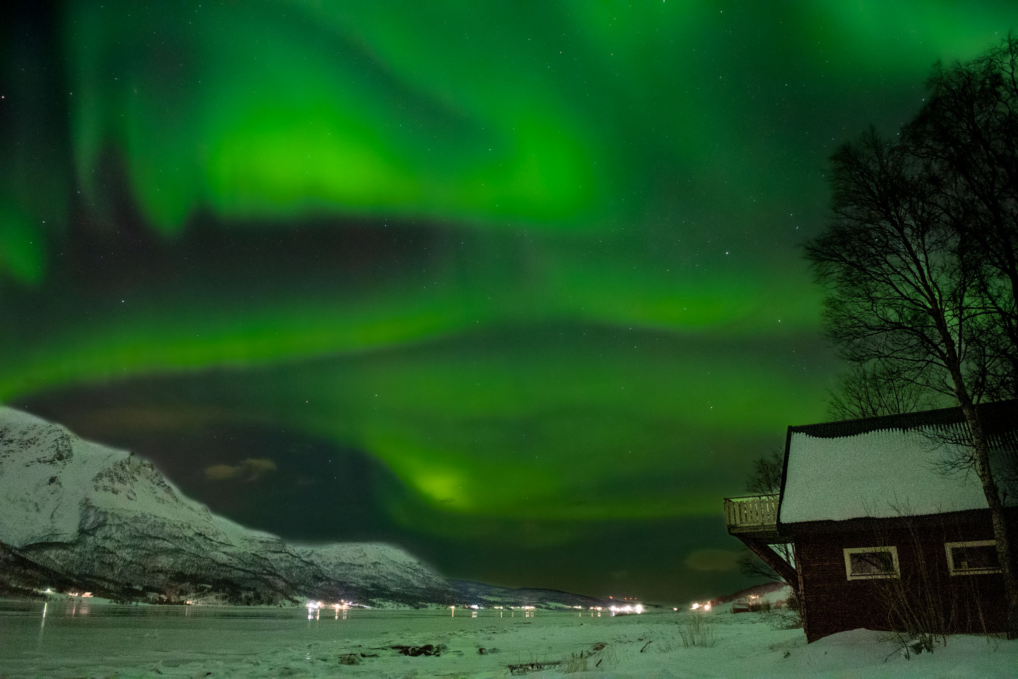 Impressionen aus Nordnorwegen – Huskys, Polarlichter, Elch, Landschaft auf Senja, Rentier und Tromsø bei Nacht