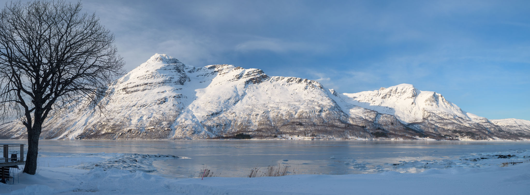 Blick vom Red Fjordhouse über den Fjord