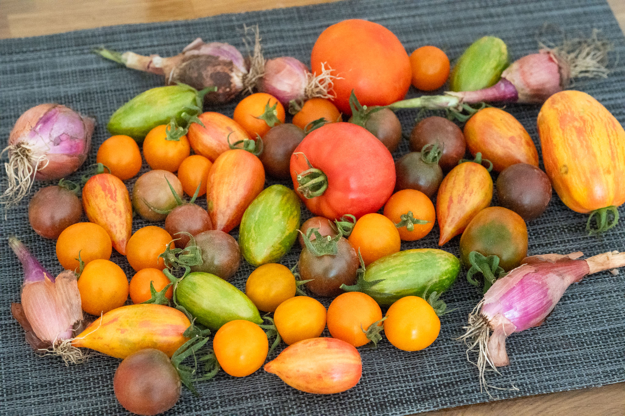 erster Tomateneinkauf beim Stekovics – eine bunte Sammlung verschiedenster Tomatensorten (und ein paar Zwiebeln)