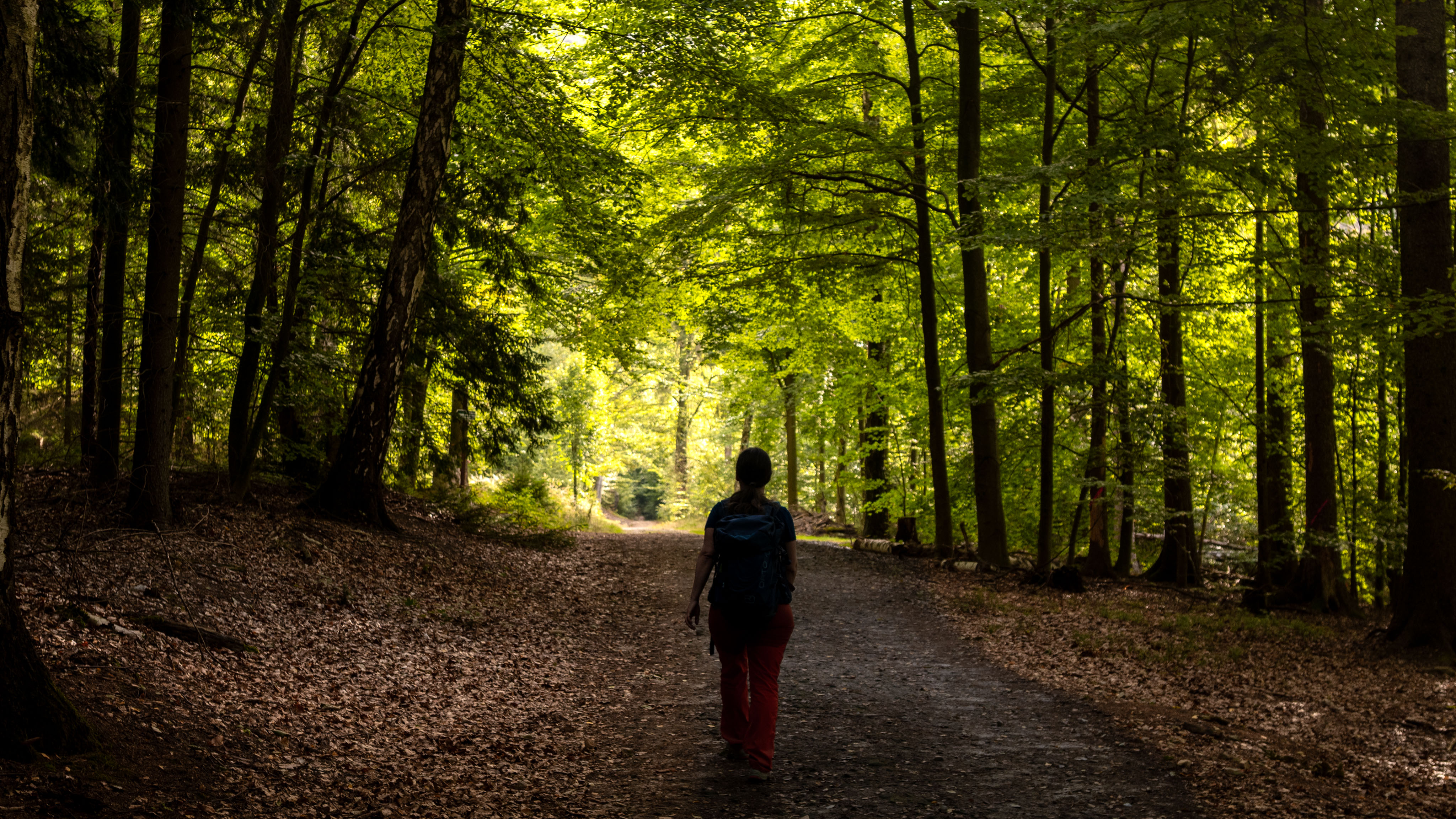 Maria wandert durch einen lichtdurchfluteten Wald im Elbsandsteingebirge